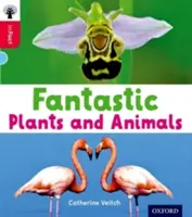 Oxford Reading Tree inFact : Oxford Level 4 : Plantes et animaux fantastiques - Oxford Reading Tree inFact: Oxford Level 4: Fantastic Plants and Animals