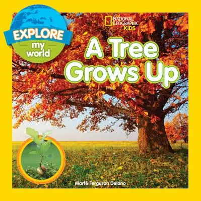 Explorer mon monde : Un arbre grandit - Explore My World: A Tree Grows Up