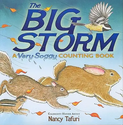 La grande tempête : Un livre à compter très détrempé - The Big Storm: A Very Soggy Counting Book