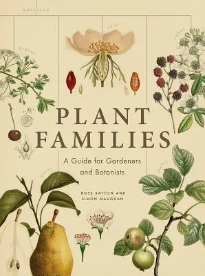 Les familles de plantes : Un guide pour les jardiniers et les botanistes - Plant Families: A Guide for Gardeners and Botanists