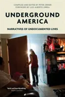 L'Amérique souterraine : Récits de vies sans-papiers - Underground America: Narratives of Undocumented Lives