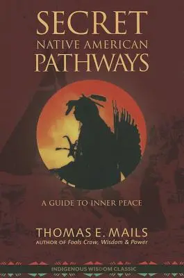 Native American Pathways : Un guide pour la paix intérieure - Native American Pathways: A Guide to Inner Peace