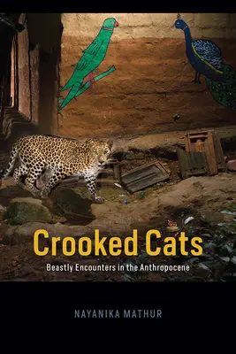 Crooked Cats : Rencontres bestiales dans l'anthropocène - Crooked Cats: Beastly Encounters in the Anthropocene