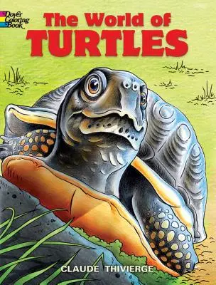 Le monde des tortues - The World of Turtles