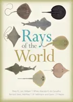 Les rayons du monde - Rays of the World