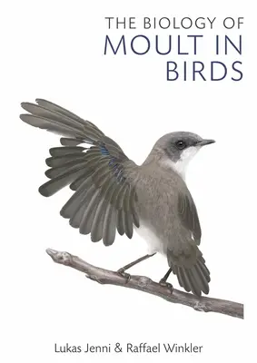 La biologie de la mue chez les oiseaux - The Biology of Moult in Birds