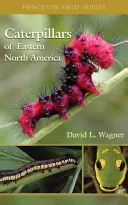 Les chenilles de l'est de l'Amérique du Nord : Guide d'identification et d'histoire naturelle - Caterpillars of Eastern North America: A Guide to Identification and Natural History