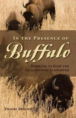 En présence des buffles : Travailler pour arrêter le massacre de Yellowstone - In the Presence of Buffalo: Working to Stop the Yellowstone Slaughter