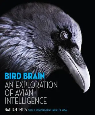 Le cerveau des oiseaux : Une exploration de l'intelligence aviaire - Bird Brain: An Exploration of Avian Intelligence