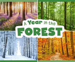 Année dans la forêt - Year in the Forest