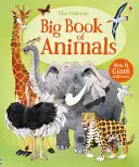 Le grand livre des animaux - Big Book of Animals