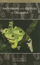 Amphibiens et reptiles de Delmarva - Amphibians and Reptiles of Delmarva