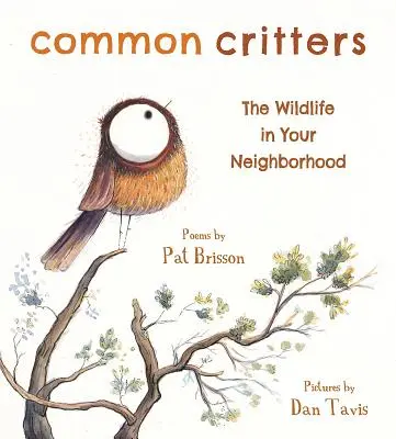 Common Critters : La faune de votre quartier - Common Critters: The Wildlife in Your Neighborhood