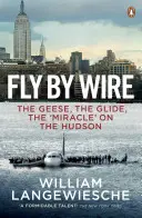 Fly By Wire - Les oies, le vol plané, le « miracle » sur l'Hudson - Fly By Wire - The Geese, The Glide, The 'Miracle' on the Hudson