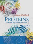 Protéines : structure et fonction - Proteins: Structure and Function