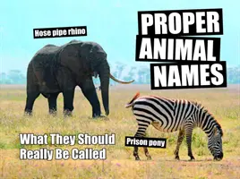 Les bons noms d'animaux - Comment les appeler vraiment ? - Proper Animal Names - What They Should Really Be Called