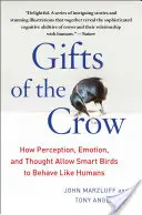 Les dons du corbeau : comment la perception, l'émotion et la pensée permettent aux oiseaux intelligents de se comporter comme les humains - Gifts of the Crow: How Perception, Emotion, and Thought Allow Smart Birds to Behave Like Humans