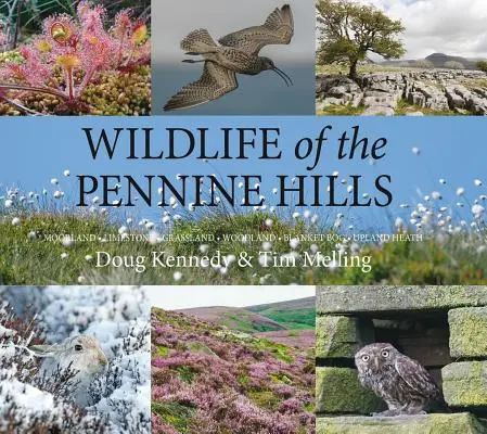 La faune des Pennine Hills : Moorland : Calcaire : Pâturages : Bois : Tourbière de couverture : Lande d'altitude - Wildlife of the Pennine Hills: Moorland: Limestone: Grassland: Woodland: Blanket Bog: Upland Heath