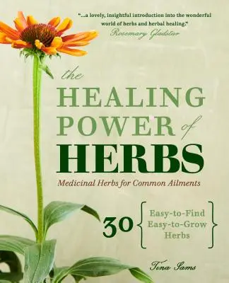 Le pouvoir de guérison des herbes : Les plantes médicinales pour les affections courantes - The Healing Power of Herbs: Medicinal Herbs for Common Ailments