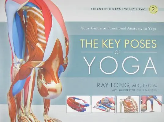 Les poses clés du yoga - The Key Poses of Yoga