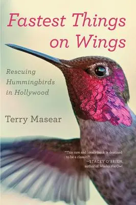 Les choses les plus rapides sur les ailes : Le sauvetage des colibris à Hollywood - Fastest Things on Wings: Rescuing Hummingbirds in Hollywood