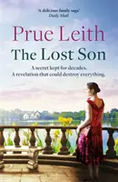 Lost Son - une grande saga familiale pleine de révélations et de secrets de famille - Lost Son - a sweeping family saga full of revelations and family secrets