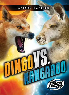 Dingo contre Kangourou - Dingo vs. Kangaroo