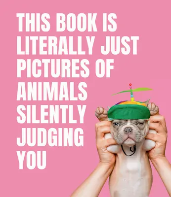 Ce livre n'est littéralement que des images d'animaux qui vous jugent silencieusement - This Book Is Literally Just Pictures of Animals Silently Judging You