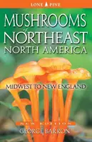 Champignons du nord-est de l'Amérique du Nord : Du Midwest à la Nouvelle-Angleterre - Mushrooms of Northeast North America: Midwest to New England