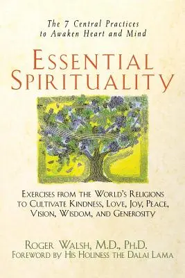 Spiritualité essentielle : Les 7 pratiques essentielles pour éveiller le cœur et l'esprit - Essential Spirituality: The 7 Central Practices to Awaken Heart and Mind