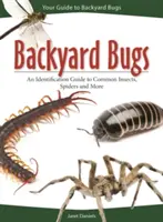 Backyard Bugs : Guide d'identification des insectes, araignées et autres espèces communes - Backyard Bugs: An Identification Guide to Common Insects, Spiders, and More