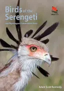 Les oiseaux du Serengeti : Et la zone de conservation du Ngorongoro - Birds of the Serengeti: And Ngorongoro Conservation Area