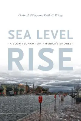 L'élévation du niveau de la mer : un tsunami lent sur les côtes américaines - Sea Level Rise: A Slow Tsunami on America's Shores