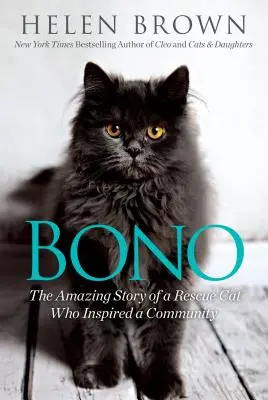 Bono : L'histoire étonnante d'un chat de sauvetage qui a inspiré une communauté - Bono: The Amazing Story of a Rescue Cat Who Inspired a Community