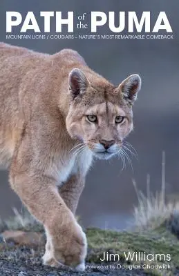 La voie du Puma : La remarquable résistance du lion de montagne - Path of the Puma: The Remarkable Resilience of the Mountain Lion