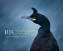 Photographe d'oiseaux de l'année - Bird Photographer of the Year