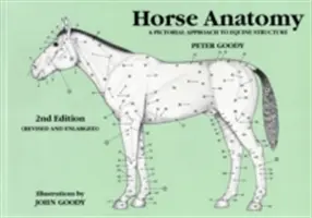 Anatomie du cheval : Une approche picturale de la structure équine - Horse Anatomy: A Pictorial Approach to Equine Structure