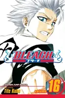 Bleach, Vol. 16, 16