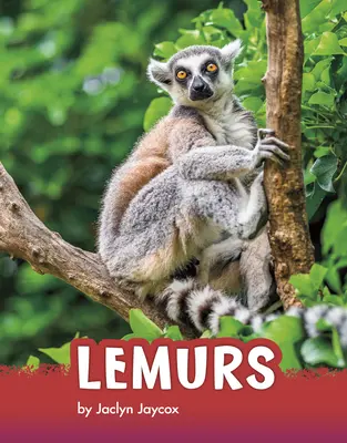 Lémuriens - Lemurs