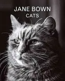 Jane Bown : Chats - Jane Bown: Cats