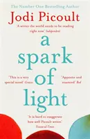 Spark of Light - LE NUMÉRO UN DES BESTINGS DU SUNDAY TIMES - Spark of Light - THE NUMBER ONE SUNDAY TIMES BESTSELLER