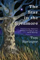 L'étoile dans le sycomore : À la découverte des vertus cachées de la nature dans les environs sauvages - The Star in the Sycamore: Discovering Nature's Hidden Virtues in the Wild Nearby