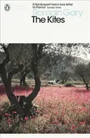 Cerfs-volants - Kites