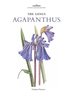 Genre Agapanthus - Genus Agapanthus