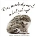 Quelqu'un a-t-il besoin d'un câlin ? - Does Somebody Need a Hedgehug?