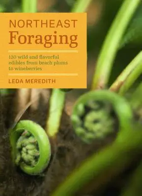 Northeast Foraging : 120 plantes sauvages et savoureuses, des prunes de plage aux baies de vigne. - Northeast Foraging: 120 Wild and Flavorful Edibles from Beach Plums to Wineberries