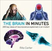 Le cerveau en quelques minutes : 200 idées clés des neurosciences expliquées en un instant - The Brain in Minutes: 200 Key Ideas of Neuroscience Explained in an Instant