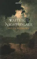 En attendant le rossignol - Waiting for the Nightingale