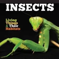 Insectes - Insects