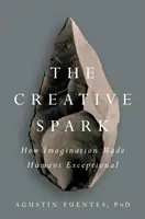 L'étincelle créatrice : Comment l'imagination a rendu l'homme exceptionnel - The Creative Spark: How Imagination Made Humans Exceptional